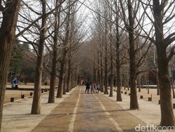 Pengen Liburan ke Korea? Ketahui Dulu Hal-Hal Berikut