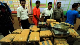 Paket Ganja 134 Kg Diselundupkan dengan Tujuan Panti Asuhan