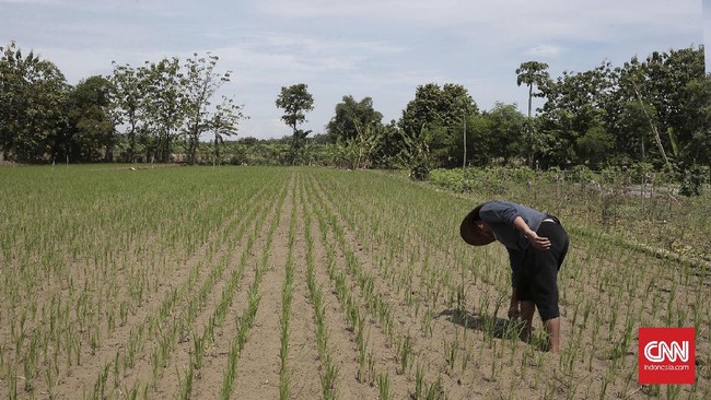 Ratusan ribu orang dari masyarakat adat menjadi korban dari total 326 konflik sumber daya alam dan agraria di seluruh Indonesia sepanjang 2018.