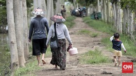PTUN Jakarta Diminta Tolak Gugatan Aliansi soal Pengelolaan Hutan Jawa