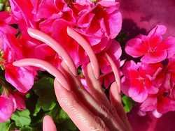 Hukum Memanjangkan Kuku bagi Wanita Muslimah