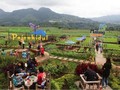 Desa Pujon Berbenah Jadi Desa Wisata Terbaik di Malang