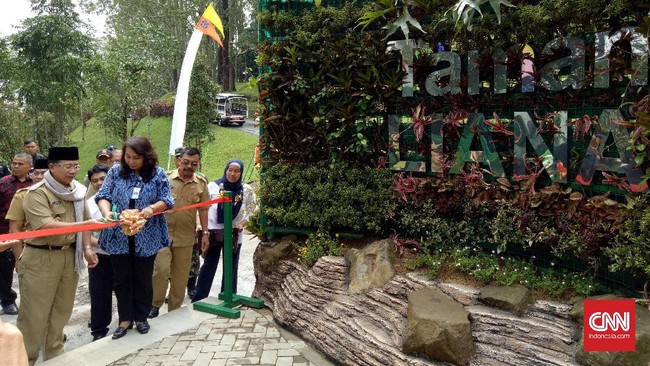 Mengenal Liana, tanaman pemanjat yang ternyata menyimpan potensi besar sebagai tanaman obat. Kebun Raya Cibodas membuat taman khusus untuk tanaman hias ini.