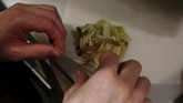 Antusiasme Warga Jepang Santap Ramen Cacing Tren makan serangga makin menjamur. Kini giliran Jepang yang memopulerkan sajian serangga, termasuk cacing. Mereka bahkan juga mencampur serangga dengan ramen.