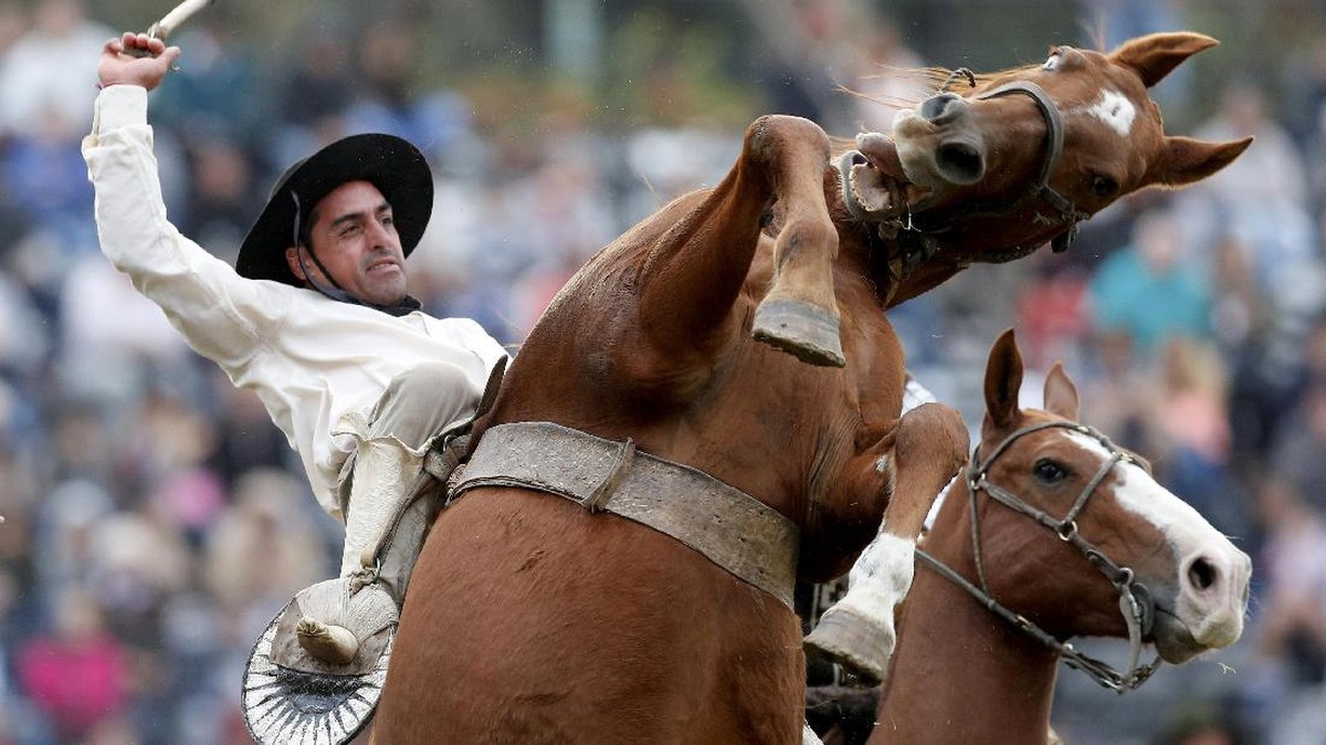 Uji Nyali Para Gaucho di Rodeo Criolla del Prado