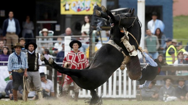 Uji Nyali Para Gaucho di Rodeo Criolla del Prado