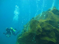 PVMBG Belum Bisa Putuskan Gunung Bawah Laut di Pacitan Aktif Atau Tidak