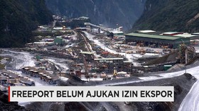 Meski Telah Diberikan, Freeport Belum Ajukan Izin Ekspor