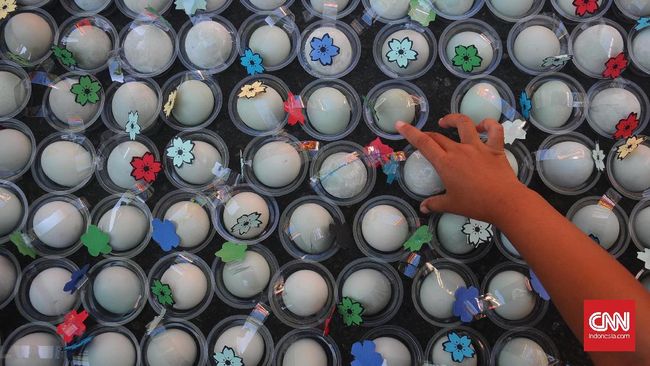 Telur tidak harus diwarnai dengan menggunakan bahan kimia. Beberapa pewarna alami bisa menjadi pilihan untuk warna telur paskah.