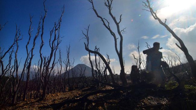 Ada banyak tempat wisata Garut yang menarik dan bisa Anda kunjungi bersama keluarga. Simak daftarnya berikut.