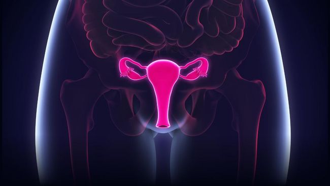 Selain pap smear dan tes HPV DNA, deteksi dini kanker serviks bisa dilakukan dengan menggunakan asam cuka dapur.