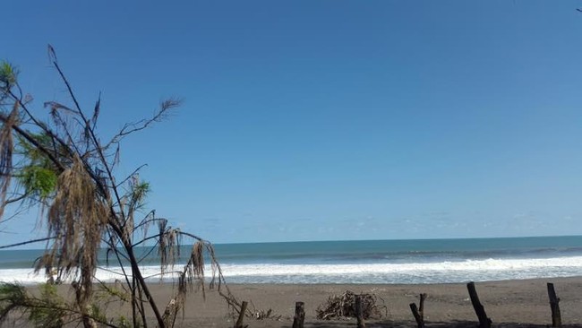 Desa Pandansimo di Bantul, Yogyakarta, dikembangkan sebagai desa pembangkit listrik energi terbarukan. Tapi ada potensi wisata yang menarik di sana.