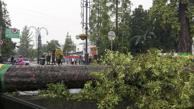 Anggaran santunan korban pohon tumbang Rp1 M dan BPJS Ketenagakerjaan pemulung Rp836 M sempat dicoret Kemendagri tapi tetap dimasukkan dalam APBD Perubahan.