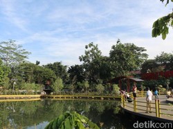 5 Tempat Wisata Depok untuk Referensi Liburan Pas COVID-19 Reda
