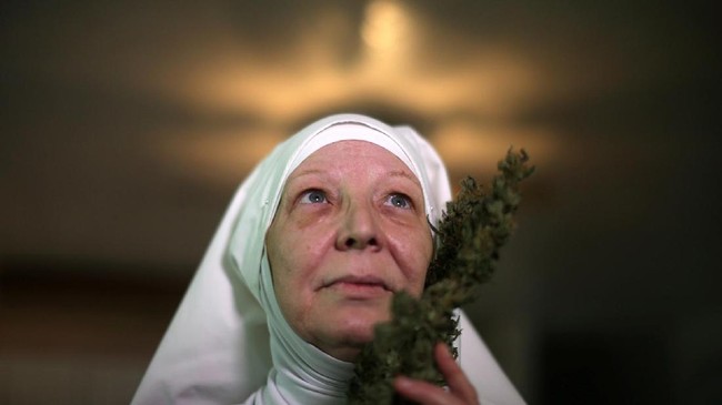 Potret Industri Tanaman Ganja dari Biarawati California