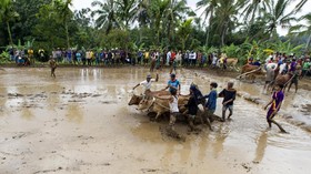 Empat Festival untuk Sambut Lebaran di Tanah Datar