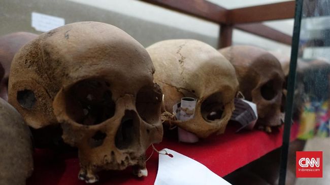 Ilmuwan Temukan Leluhur Manusia, Lebih Tua dari Homo Sapiens Fosil manusia berusia 800 ribu tahun lalu itu disebut jauh lebih tua dari generasi homo sapiens yang ditemukan di Afrika.