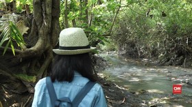 Menelusuri Jejak Manusia Purba di Sangiran
