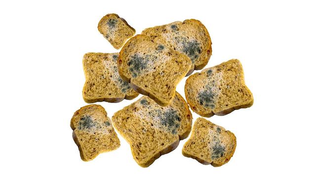 Saat bagian bawah roti mulai berjamur, biasanya banyak orang yang menghilangkan bagian jamur dan memakan sisanya. Jangan lagi lakukan hal ini.