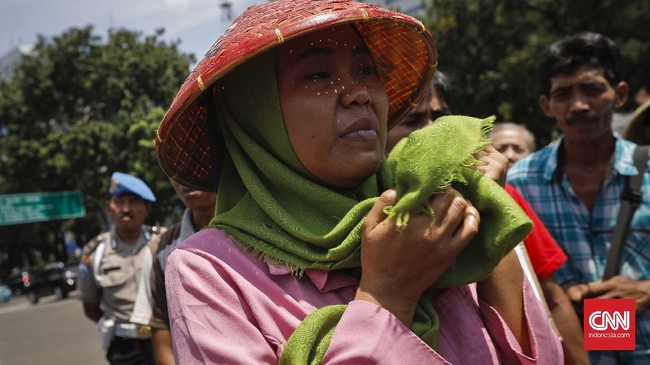Konsorsium Pembaruan Agraria mencatat konflik paling tinggi terjadi di sektor perkebunan dengan total 122 kasus.