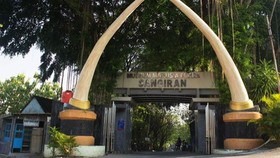 Kemenpar Serius Kembangkan Sangiran seperti Borobudur
