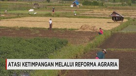Reforma Agraria Guna Atasi Ketimpangan