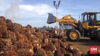 Harga Biodiesel Terdongkrak Kenaikan Harga Minyak Sawit