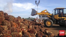 Petani Sawit Desak Pemerintah Pungut Ekspor CPO