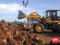 Diskriminasi Sawit, Petani Minta Pemerintah Perbaiki Diri