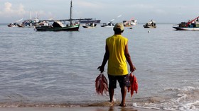 Meniru Kesederhanaan Nelayan Brasil Dalam Berburu Ikan