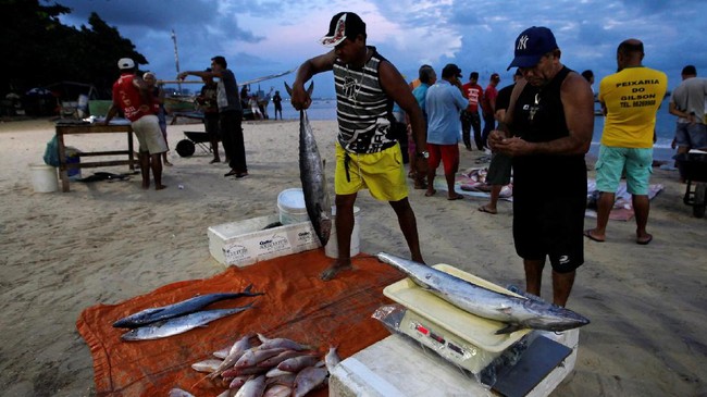 Meniru Kesederhanaan Nelayan Brasil Dalam Berburu Ikan