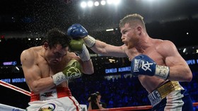 Canelo vs Golovkin Digelar 16 September
