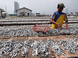 Ekonomi RI 5,4%, Menperin: Kontribusi Terbesar Industri Pengolahan