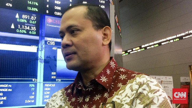 Perusahaan terpaksa menurunkan harga penawaran umum menjadi Rp300 per saham dari harga penawaran awal Rp650 per saham hingga Rp960 per saham.