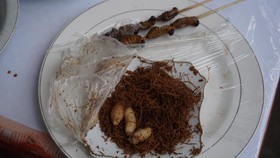 Ulat Sagu, Kuliner Khas dari Pesisir Papua