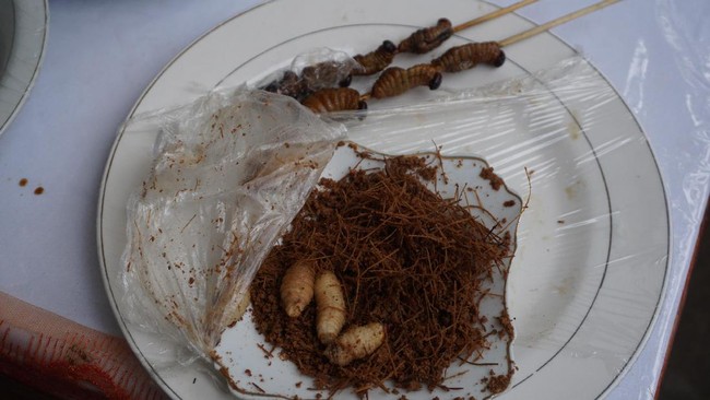 Ulat sagu merupakan makanan unik dan populer di pesisir utara dan selatan Papua. Ulat ini oleh penduduk dikonsumsi sebagai sumber protein tambahan.