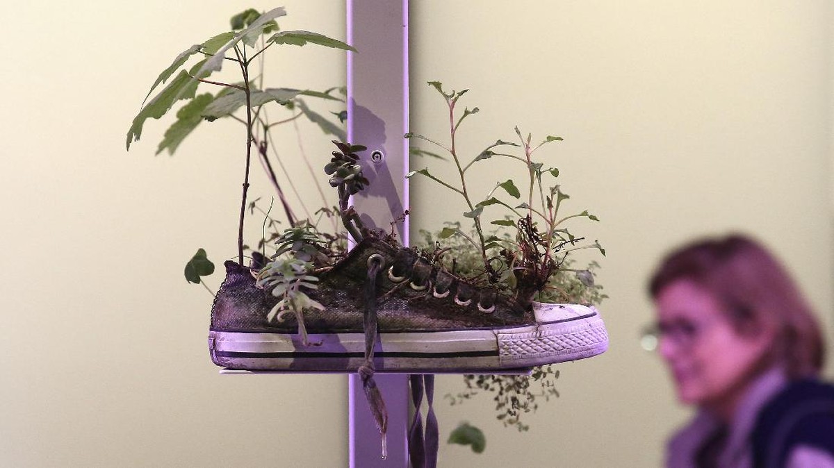 Menengok Ragam Imajinasi di Venice Art Biennale ke-57