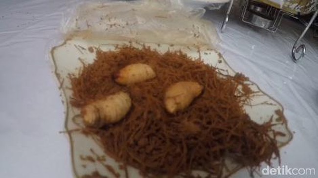 Sebagian orang Papua menyukai ulat sagu sebagai salah satu makanan mereka. Begini cara beternak ulat sagu secara alami.