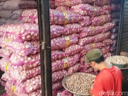 Kementan Ungkap Alasan Importir Tak Ambil Bawang Putih dari India