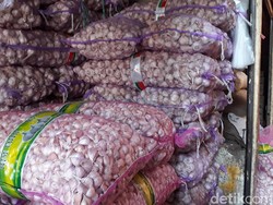 Akhirnya! Kementan Sejalan dengan Kemendag soal Impor Bawang