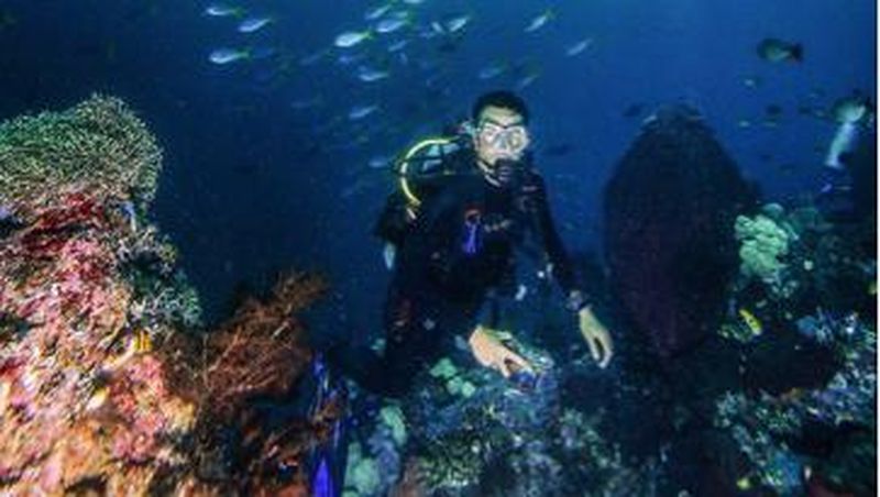 Hampir setiap orang memiliki impian untuk berlibur ke destinasi wisata Raja Ampat.