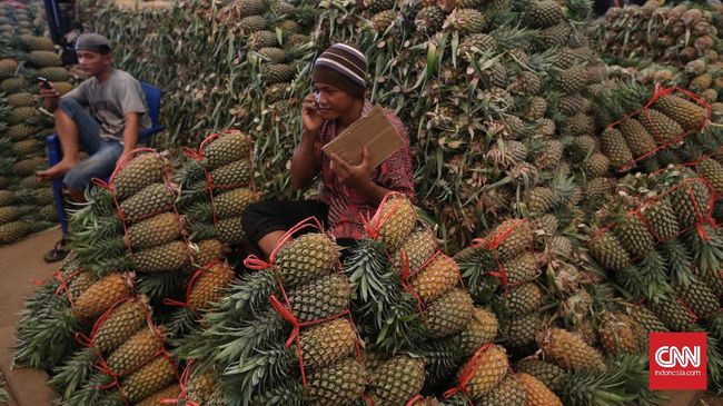 Banyak ibu hamil takut makan nanas karena dianggap memicu keguguran. Benarkah? Ini penjelasan medisnya.