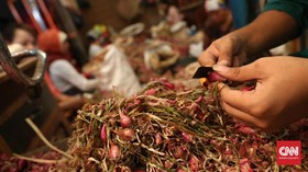 Mengapa Mengiris Bawang Bikin 'Menangis'