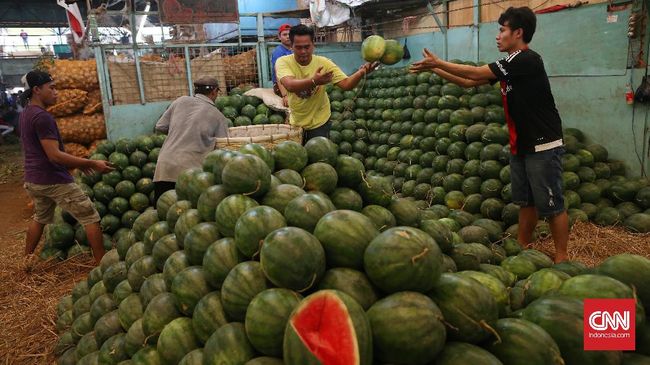 Deretan Buah Termahal, Seharga Setara Satu Unit Motor Fenomena durian termahal, yakni jenis J-Queen, sempat membuat heboh dunia. Satu buah dibanderol seharga satu unit sepeda motor.