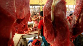Darmin Sebut Ada Batasan Pembebasan Bea Masuk Impor Sapi