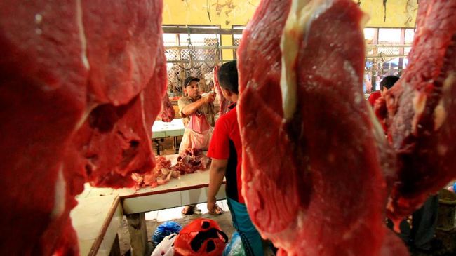 Kementan Belum Beri Rekomendasi Impor Daging Sapi Brasil Berdikari, BUMN yang ditugaskan impor daging sapi dari Brasil sampai saat ini belum mengajukan izin ke Kemendag karena belum dapat rekomendasi dari Kementan.