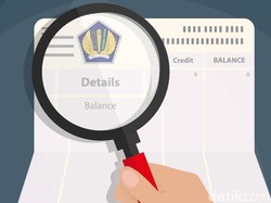DJP Kini Bisa Pelototi Data Pajak Pupuk Indonesia