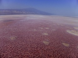 Danau Merah yang Penuh Misteri hingga Ubah Hewan Jadi Batu