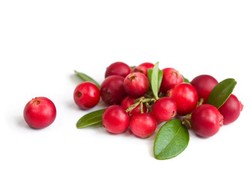 Manfaat Jus Cranberry Bagi Kesehatan Tubuh, Khususnya Wanita