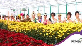 Tomohon Gelar Festival Bunga Hias pada Agustus 2017